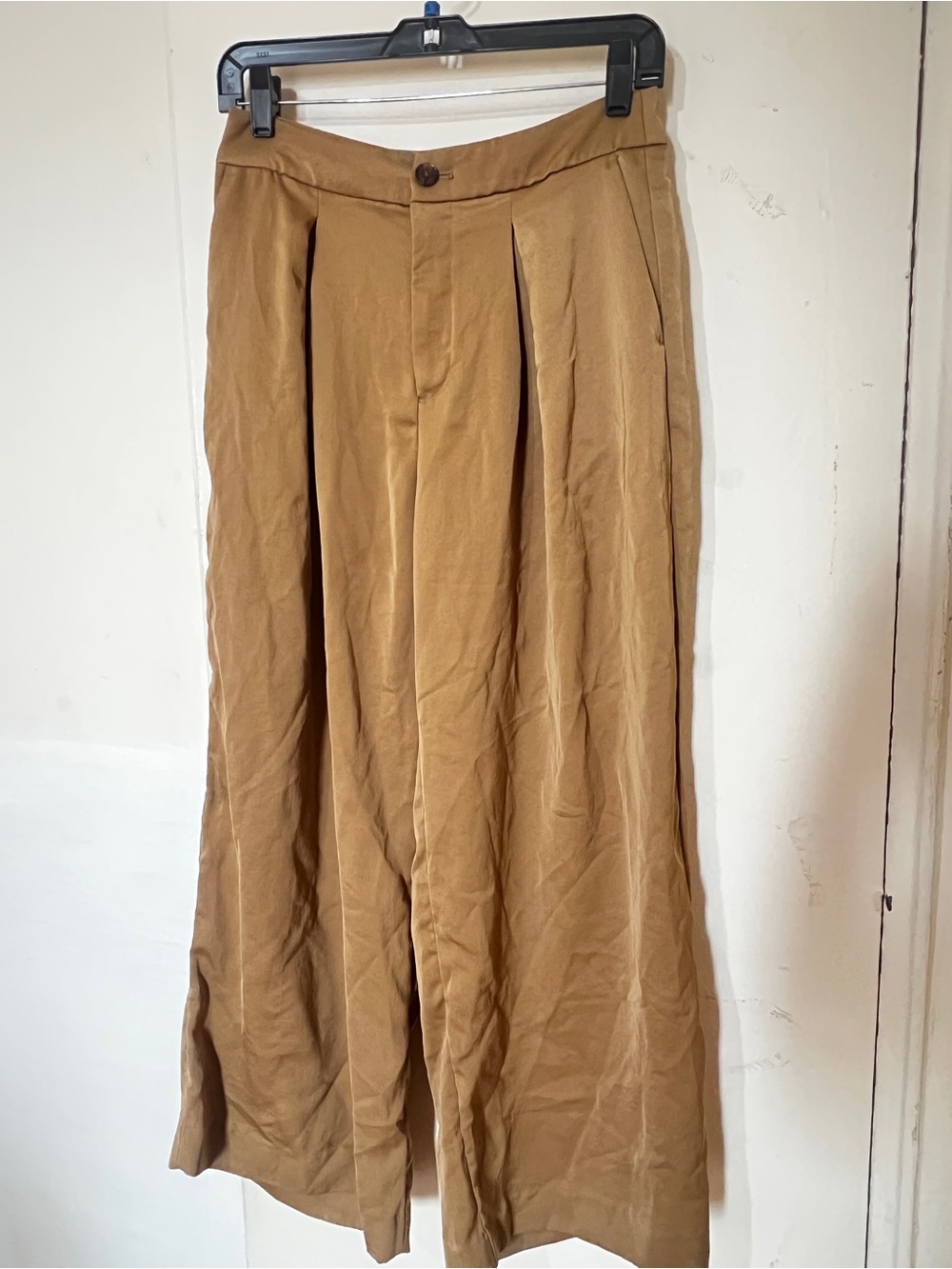 Banana Republic Wide-Leg Pleated Chinos in Camel